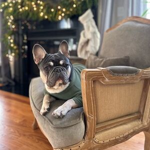 Meet your Posher, Jenise